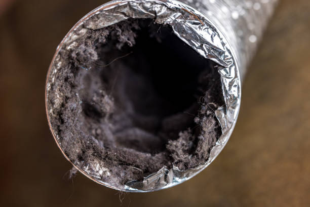 Best Professional Duct Cleaning Services  in Topeka, IN
