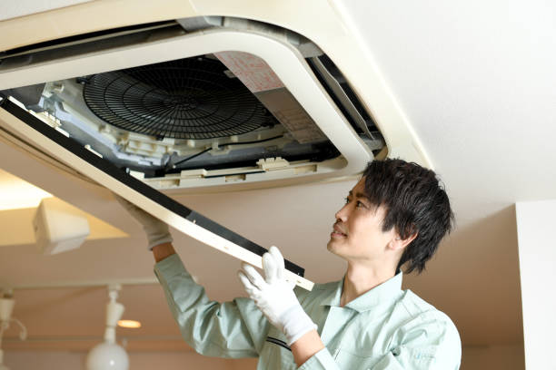 Best Air Duct Sanitizing Services  in Topeka, IN